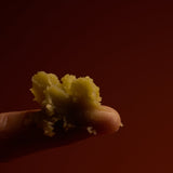 Lip Balm - Herb Remedy
