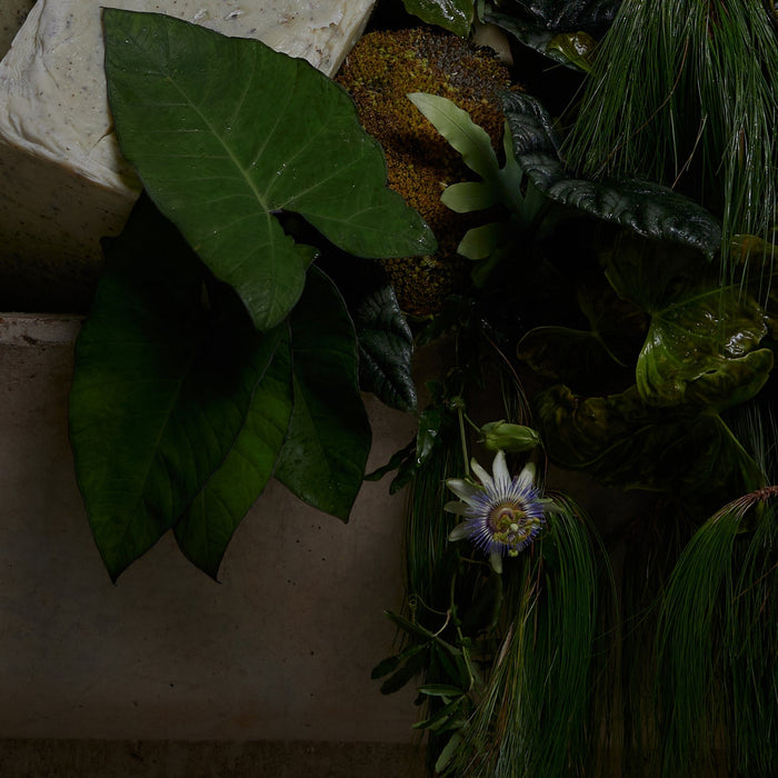 Friend of Herb Remedy - Immortal Soil